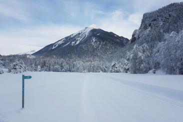 Langlaufloipe Filisur