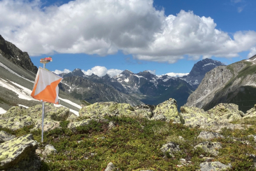 Orientierungslauf